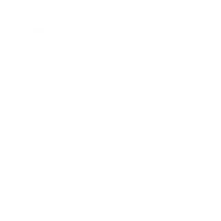 icône téléphone